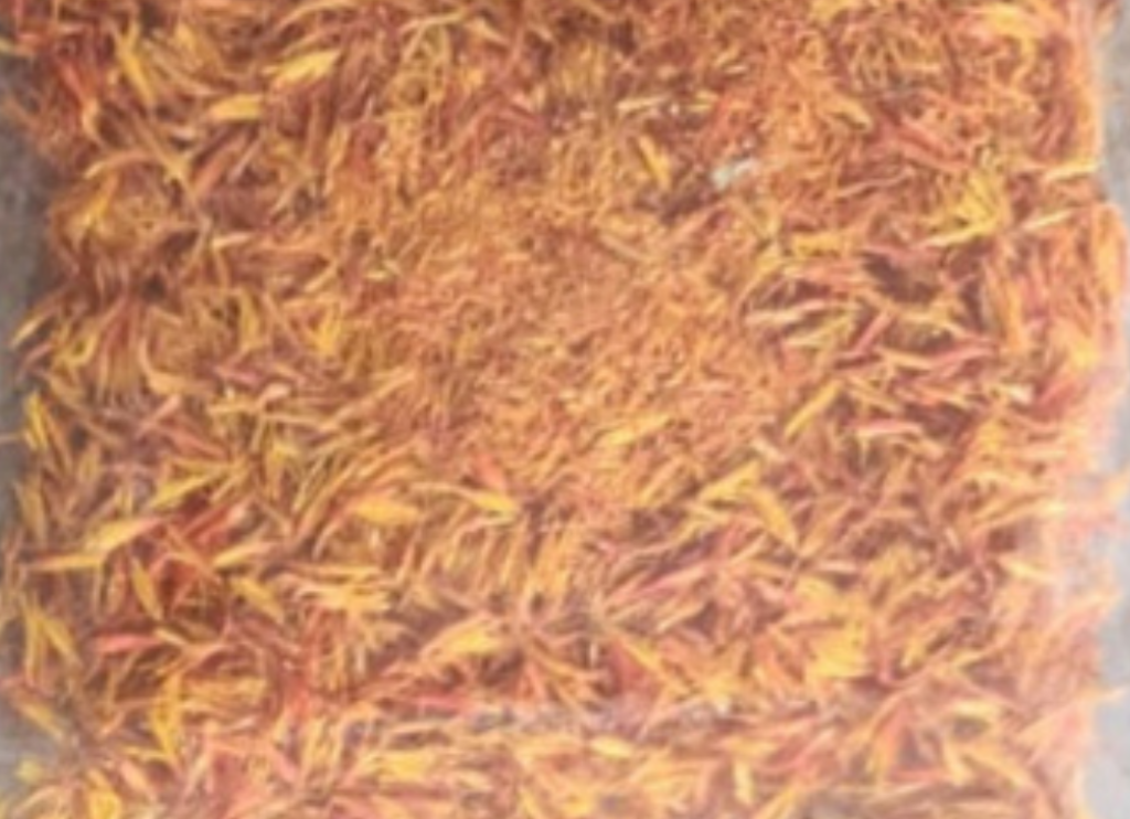 🌼 Safflower: The Golden Herb for Wellness